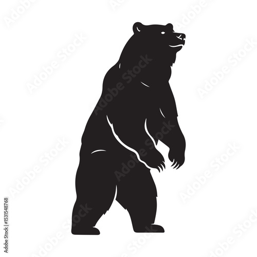 Black Bear Silhouette Vector illustration
