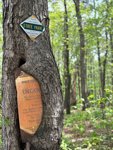 edaphoecotropism in a tree as it swallows a metal sign not harmful to the tree