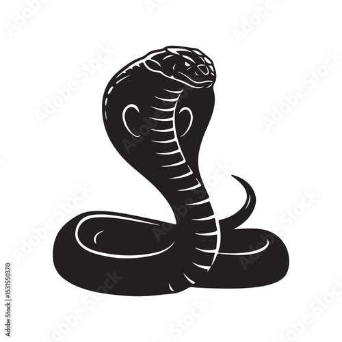 snake vector illustration