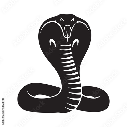 snake vector illustration