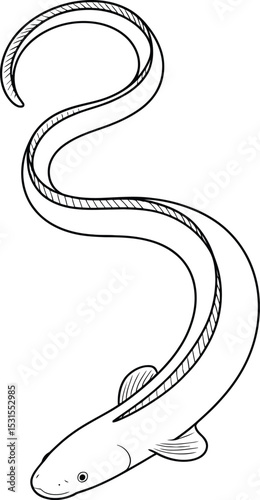 Eel Fish Line Art - Simple Black and White Vector Illustration