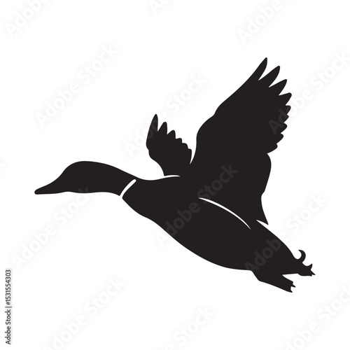 Silhouette duck vector illustration  on white background