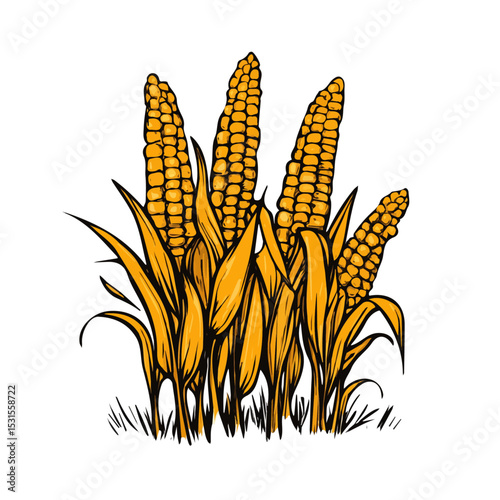 Cornfield Doodle illustration vector 2D flat, isolated on a white background.
