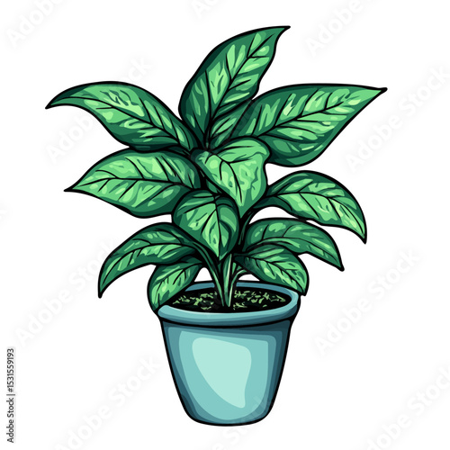 2D flat Chinese Evergreen Doodle illustration vector, isolated on a white background.