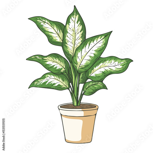 Dieffenbachia Doodle illustration vector 2D flat, isolated on a white background.