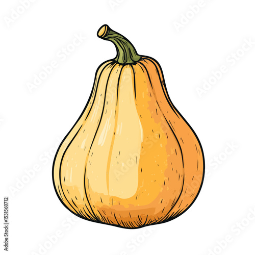 2D flat vector illustration of Butternut Squash Doodle, isolated on a white background.