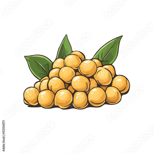 2D flat Chickpeas Doodle vector illustration, isolated on a white background.