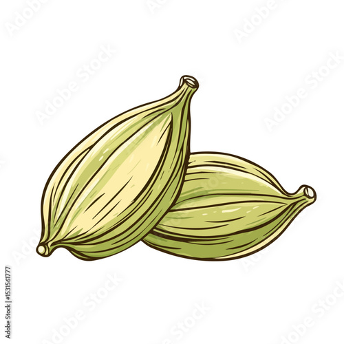 2D flat vector illustration of Cardamom Doodle, isolated on a white background.