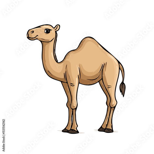 2D flat Dromedary Doodle vector illustration, isolated on a white background.