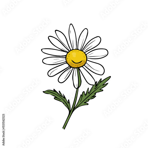 2D flat Chamomile Flower Doodle vector illustration, isolated on a white background.