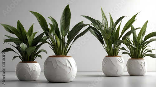 plant green plant in a vase on a white background