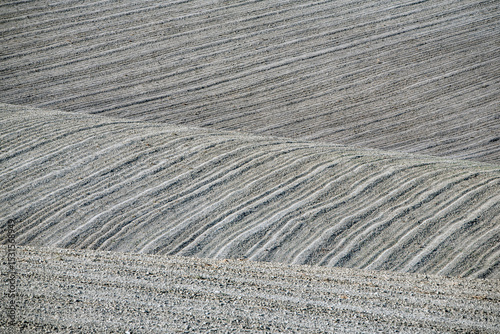 Organic Lines on Cultivated Earth
