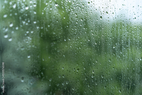 Raindrops on a window create a tranquil atmosphere amid lush greenery outside during a cloudy day