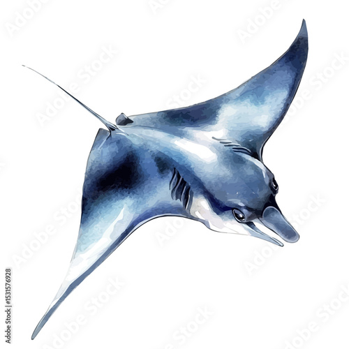 watercolor vector of Manta Ray, isolated on a white background.