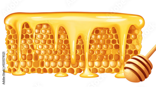 Glistening honeycomb with dripping golden honey and wooden dipper beside isolated on white background 