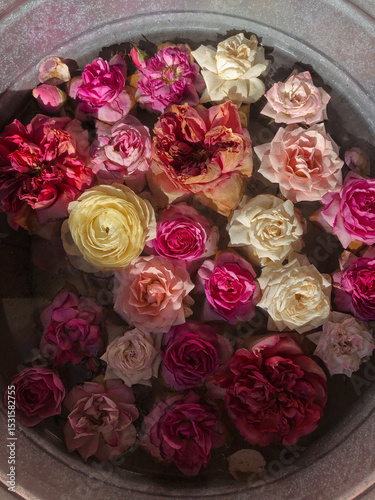 Overhead view of a vintage metal basin filled with assorted multi coloured rose flower heads floating in water photo