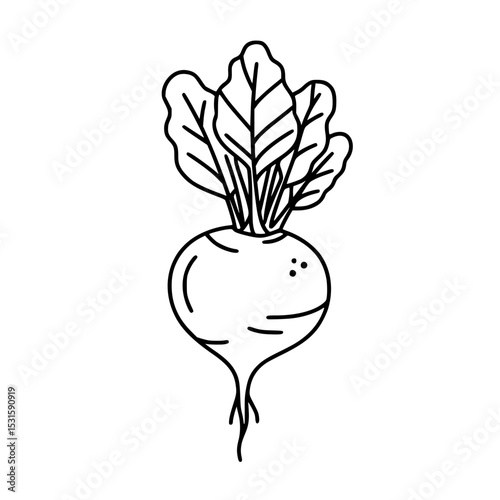Cucumber line icon - simple vector outline in minimalistic black design  