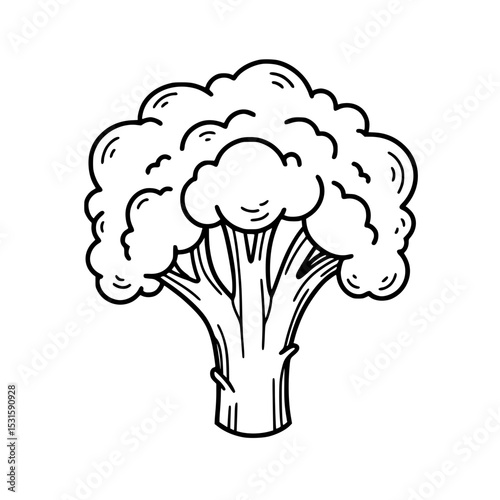 Broccoli vegetable illustration in minimalistic black and white design  