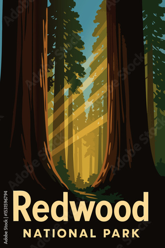Giant Redwoods with Sunlight Filtering Through.eps