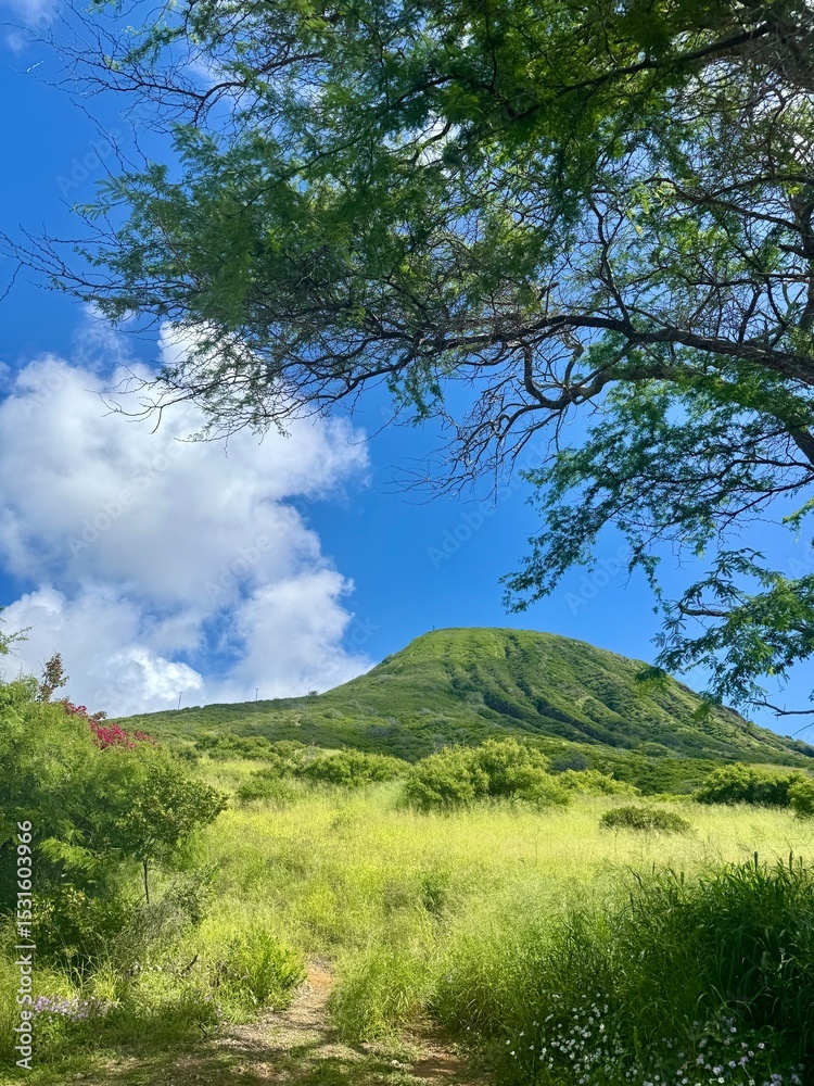 Obraz premium landscape with blue sky