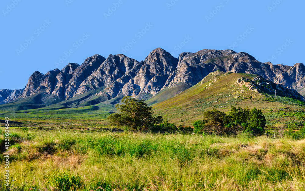 Fototapeta premium Lush meadow at the foothills of the Waaihoek Mountains, Breedekloof, South Africa