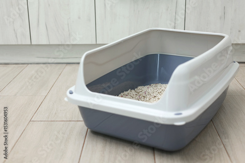 Cat litter box with filler on a light interior background. space for text