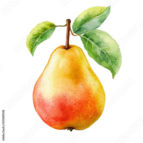 Juicy Pear, watercolor illustration vector, isolated on a white background.