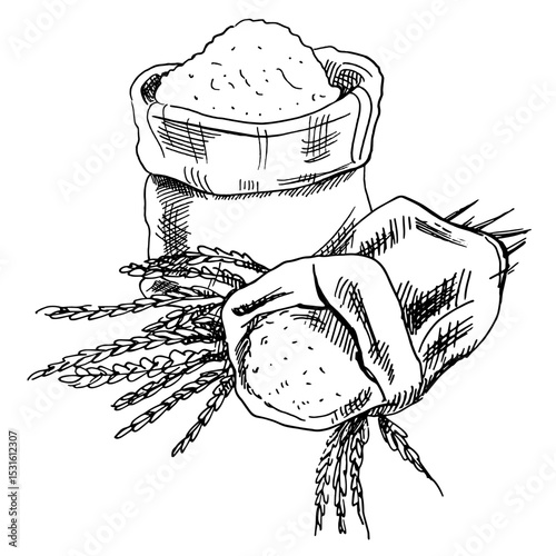 Bags with flour and spikelets of wheat sketch drawing.⁠

