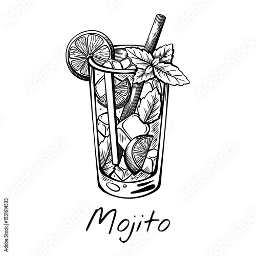 Hand-drawn vector illustration of Mojito cocktail with mint, lime, and ice in highball glass. Classic summer drink sketch perfect for bar menu, tropical design, or blog.