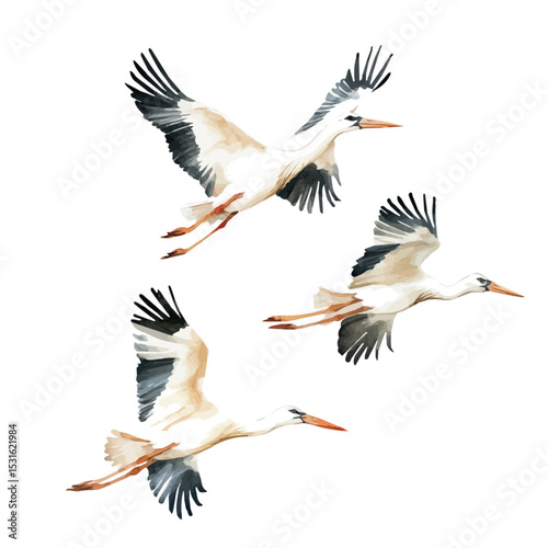 Storks Flying Golden Sky, watercolor clipart vector, isolated on a white background.