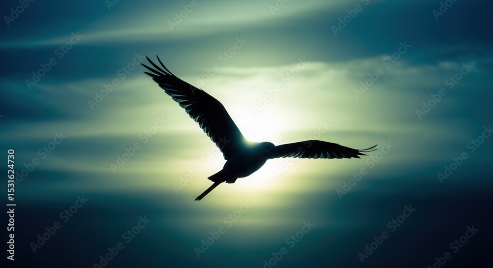 Obraz premium Silhouette of soaring eagle flying high in the sky freedom and wildlife photography nature landscape