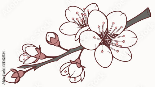 Elegant Stylized Branch of Cherry Blossoms with Buds