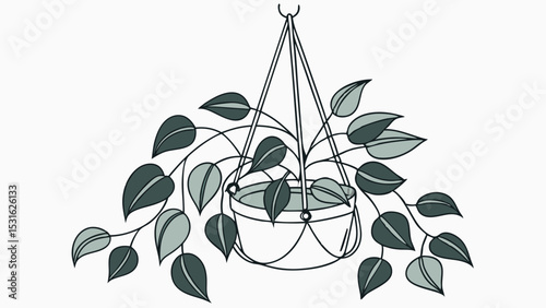 Hanging Potted Plant with Green Leaves and Decorative Macrame Hanger