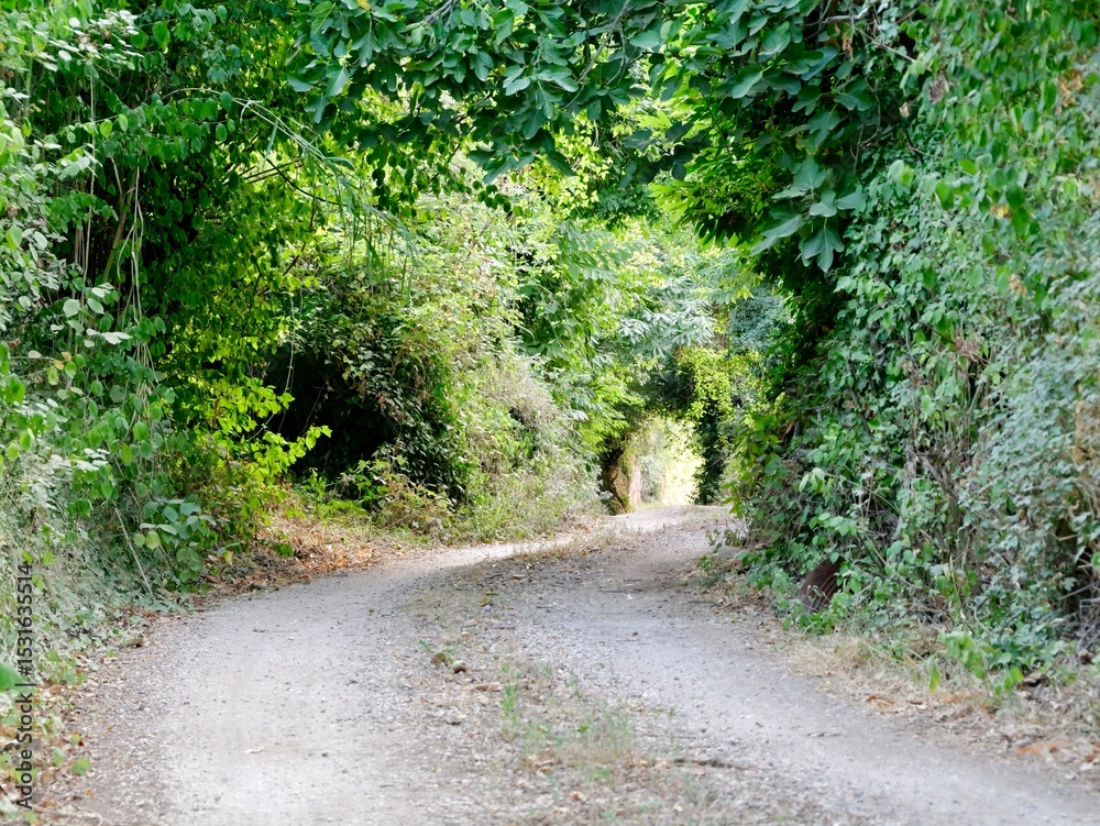 Fototapeta premium Country road near the Barbarano Romano village. Viterbo, Lazio region, Italy