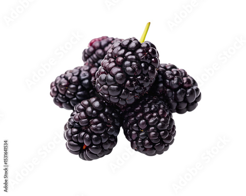 High-resolution PNG image of ripe mulberries in rich purple and dark red tones, isolated on a transparent background. Includes whole mulberries with textured details, ideal for food packaging, nutriti