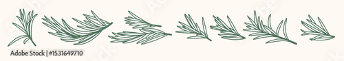 Rosemary Branch and Herbal Oil Logo or Rosemary Icon, Herbs Elements in Vector Format, Floral Rosemary Frame and Border, Hand-Drawn Rosemary Botanical