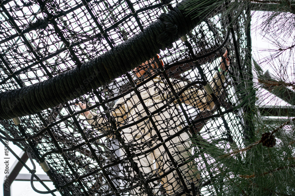 Obraz premium Lobster Trap, Maine, Fishing Industry, Close-up view of a lobster trap from underneath.
