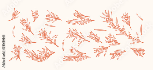 Rosemary Branch and Herbal Oil Logo or Rosemary Icon, Herbs Elements in Vector Format, Floral Rosemary Frame and Border, Hand-Drawn Rosemary Botanical