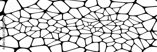 Black and white geometric seamless patterns vector set. Irregular shapes repeated backdrop for web tiles, science and interior designs. voronoi line polygonal cells template background collection