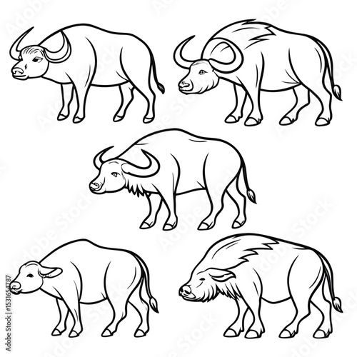A collection of five different buffalo illustrations, showcasing variations in horns and fur