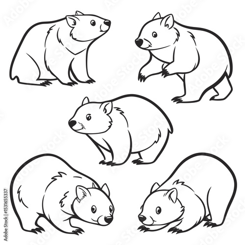 Five Line Drawings of Wombats in Different Poses