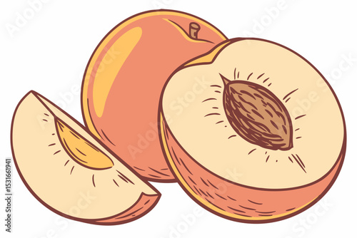 Juicy peach illustration whole half and slice