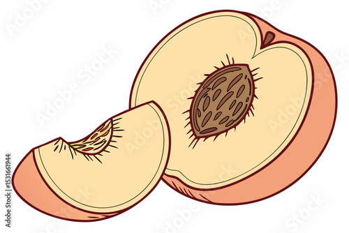 Halved peach with a slice illustration