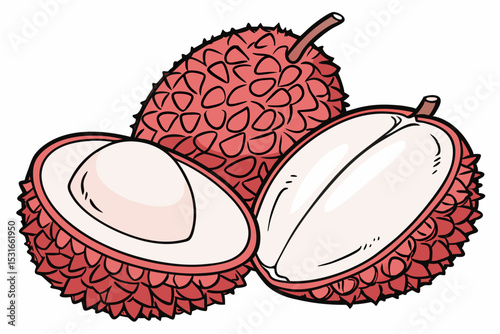 Fresh lychees whole and halved illustration