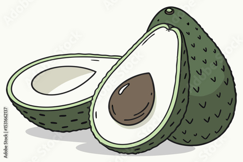 Halved avocado illustration fresh and ripe