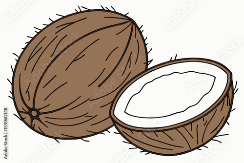 Whole coconut and half coconut illustration