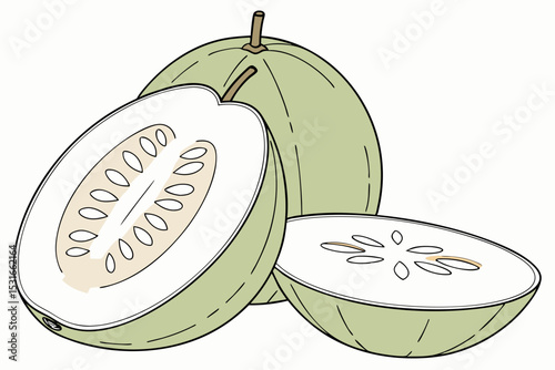 Illustration of a feijoa fruit halved and whole