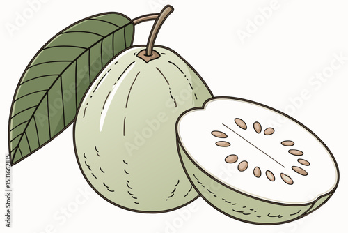 Illustration of a whole and halved guava with leaf