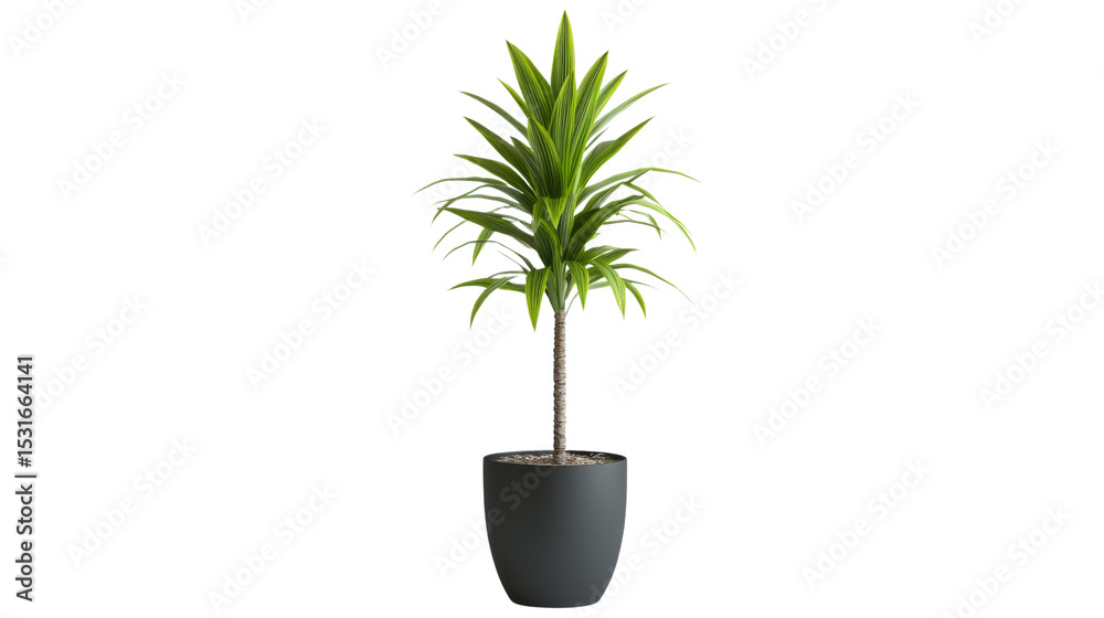 Obraz premium Indoor plant care guide fostering growth in home environments aesthetic interior design calm spaces