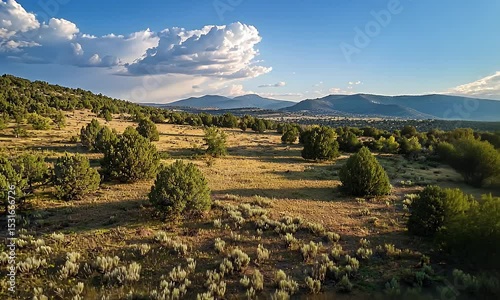 Vast Desert Landscape With Green Shrubs and Trees Under a Clear Blue Sky With Fluffy Clouds and a Distant City Horizon